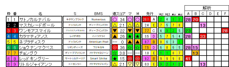 2025　共同通信杯　ラップ適性